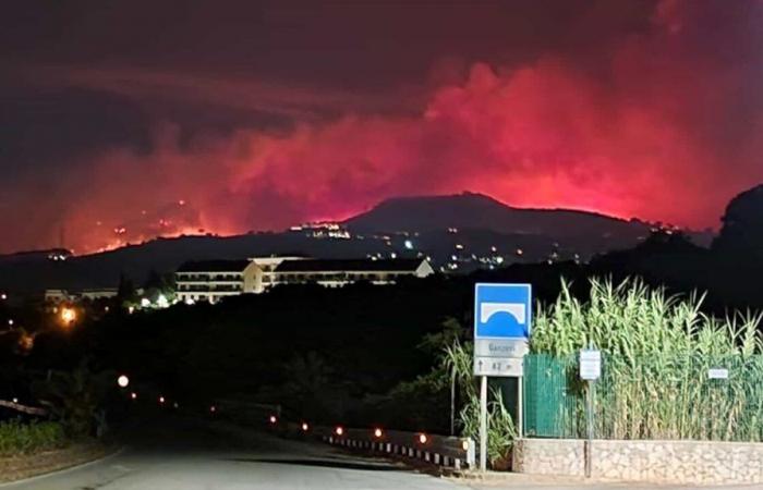Incendi, nel 2023 a Messina sono andati in fumo 23 chilometri quadrati di aree boschive – .