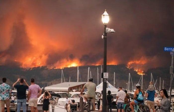 Incendi boschivi, deforestazione ed emissioni, il tragico bilancio in Canada – .