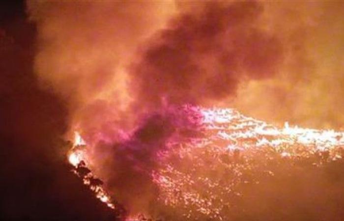 Incendi nel 2023, l’83 per cento degli incendi in Sicilia e Calabria – .