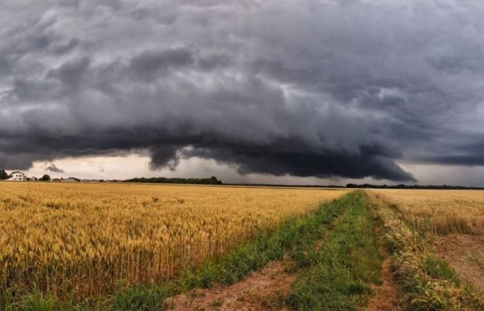 Allerta meteo gialla in provincia di Pavia per rischio rovesci e temporali – .
