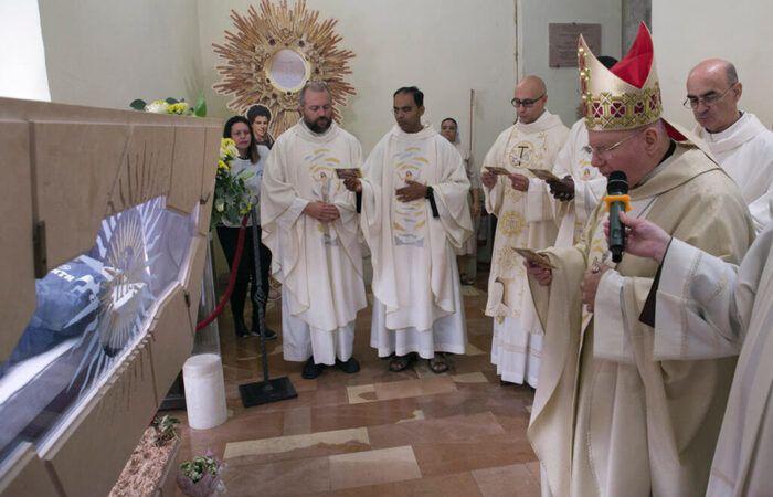 Il vescovo di Assisi si prepara alla canonizzazione di Acutis – Ultima ora – .