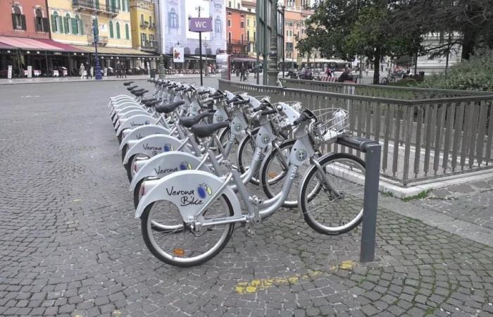 Verona in prima linea per i cicloviaggiatori – .