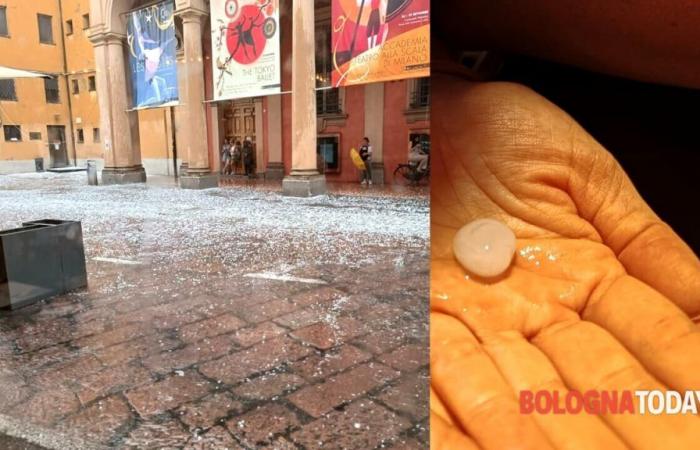 Bomba d’acqua con grandine a Bologna, previsti nuovi temporali – .