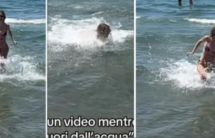 “Fai un video di me che corro fuori dall’acqua”. Quello che succede dopo è virale – .