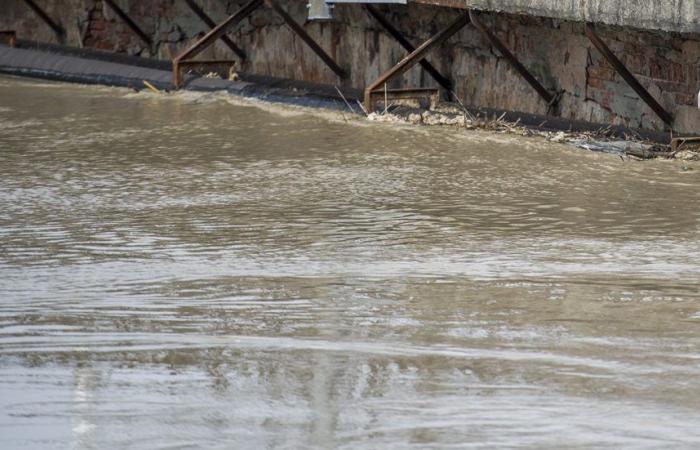 Alluvione, la Regione Toscana apre il portale di informazione Italpress Press Agency – .