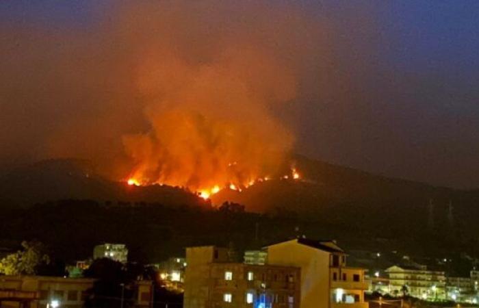 Palermo epicentro degli incendi boschivi in ​​Italia nel 2023 – .