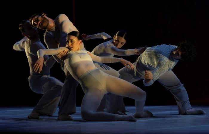 New governance at Balletto di Toscana – Dance&Dance – .