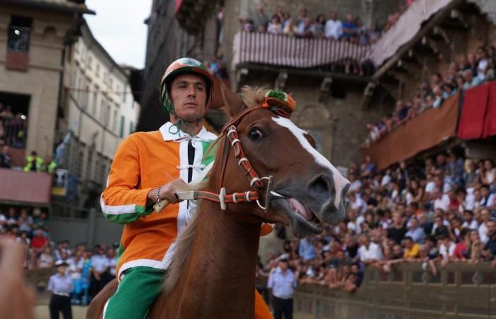 The ten horses in the race are Sardinian La Nuova Sardegna – .