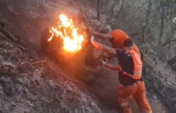 la provincia di Catanzaro è la meno colpita dagli incendi – .