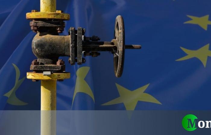 Dove acquista gas l’Europa? I maggiori fornitori (c’è la Russia) – .