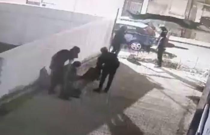 VIDEO del furto della statua e del raid nel cantiere di Santa Marta – .