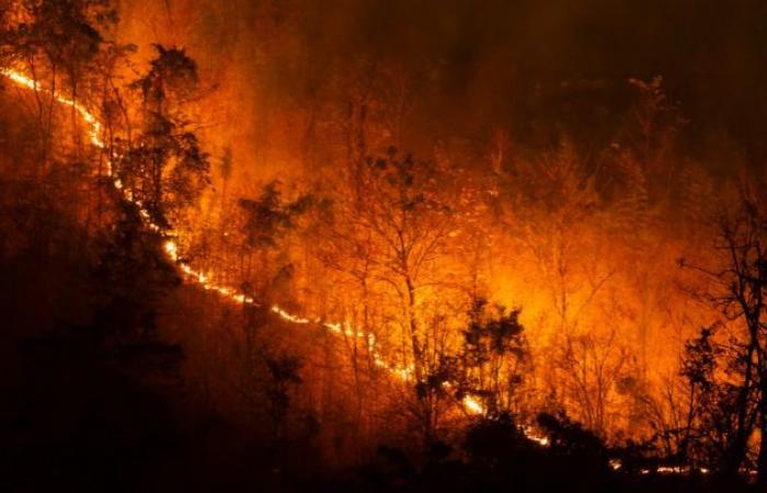 Gli incendi boschivi sono aumentati di 10 volte negli ultimi 10 anni – .