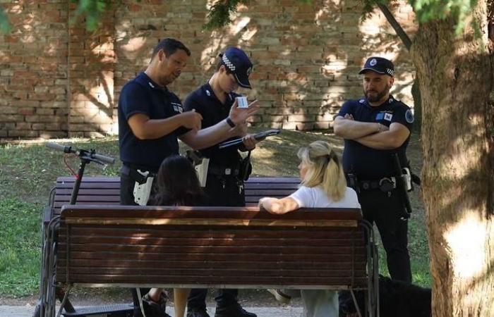 Policewoman assaulted during a check in Ferrara La Nuova Ferrara – .