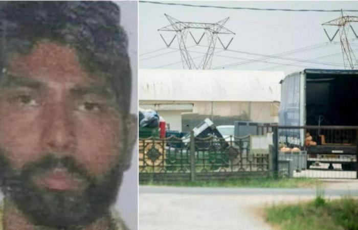 Morte di Singh Satnam, arrestato il proprietario di una compagnia latina. “Avrebbe potuto salvarlo” – .
