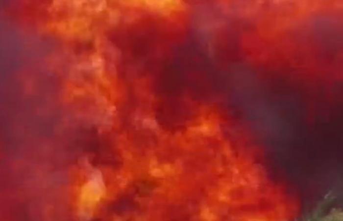 Ritorna l’emergenza incendi boschivi in ​​Grecia, turisti evacuati – .