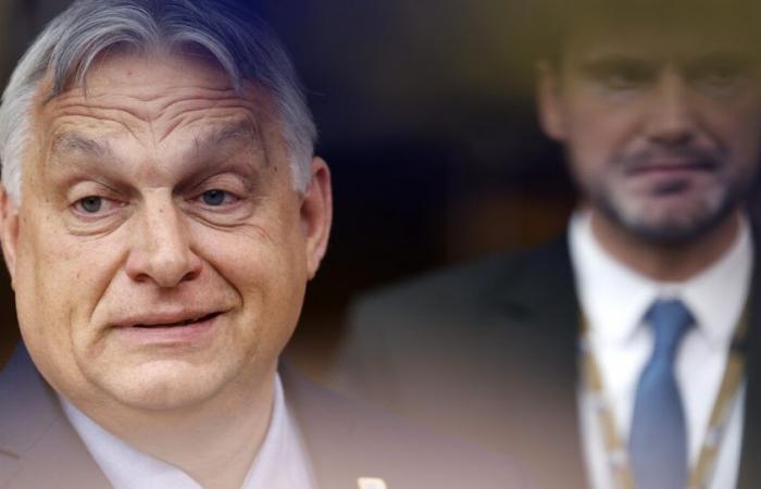 Lo sforzo europeo di sei mesi con Orbán al comando – .