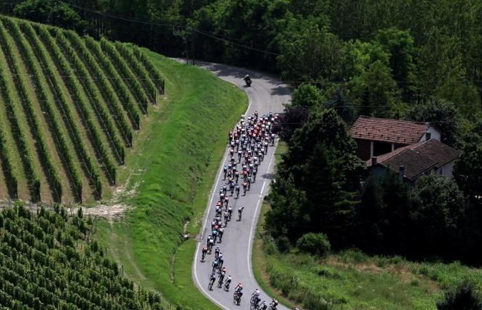 Biniam Girmay vince la tappa del Tour de France a Torino – .
