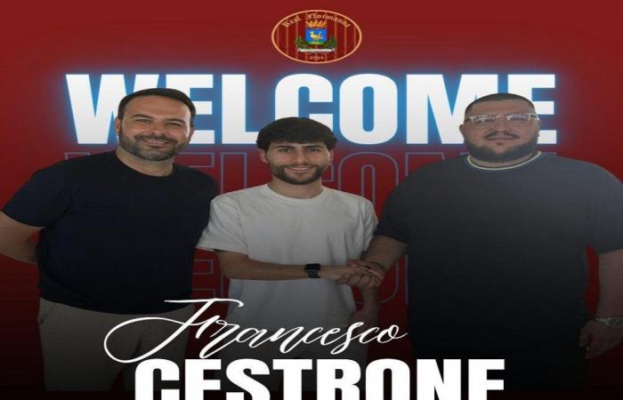 Arriva Francesco Cestrone – .