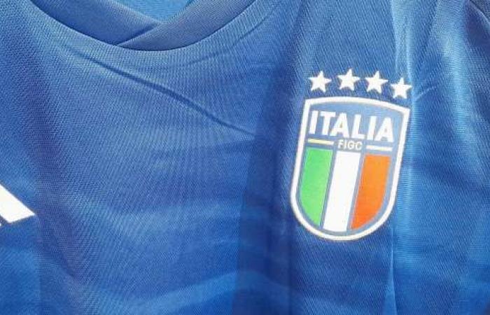 Inter Milan’s Luca Di Maggio confirmed, Camarda and Pafundi new – .