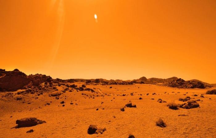 Gli scienziati sorpresi dalla presenza di aria nei campioni di roccia e suolo di Marte della NASA – .