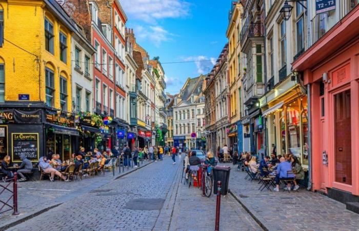 Ecco ufficialmente i 10 bar dove hai le migliori possibilità di incontrare l’amore a Lille – .