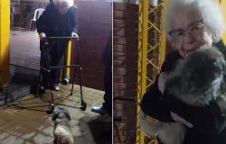 il cane scomparso ritrova il suo proprietario di 97 anni – .