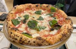 Dove mangiare le 10 migliori pizze Margherita a Caserta e dintorni – .