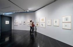 La mostra di Jannis Kounellis al Museo Novecento Firenze – .