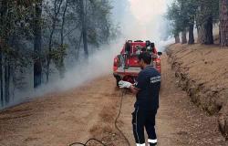 Incendi, domani esercitazione interforze della Protezione Civile a Casaboli – Monreale News – .