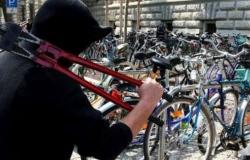 Il “famoso” ladro di biciclette scarcerato e subito rimpatriato – .