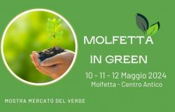 Città di Molfetta – Molfetta nel Verde. Il simposio, mostre, degustazioni, laboratori, arte e musica – .