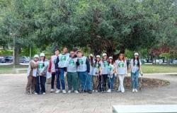 Foggia – Le aree verdi di via Grecia sono state ripulite dagli studenti Marconi – PugliaLive – Quotidiano di informazione online – .