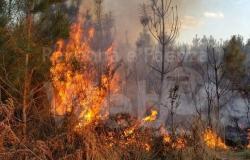 Protezione Civile. 22 nuovi operatori volontari formati per spegnere gli incendi boschivi – .