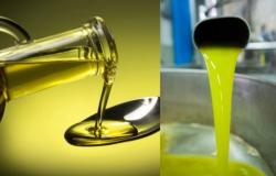 Olio d’oliva antitumorale e anti-Alzheimer. Ma ad una condizione: i dati – .