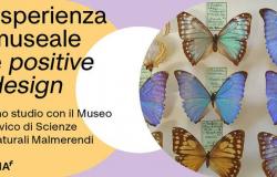 uno studio con il Museo Civico di Scienze Naturali Malmerendi di Faenza – .
