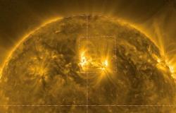 Un team della NASA guidato dall’India traccia ciò che riscalda il “muschio” sul Sole