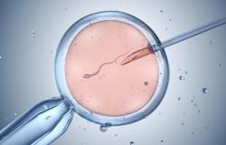 Procreazione assistita, la donna potrà richiedere l’impianto dell’embrione in caso di morte del partner o di separazione.