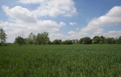 Monza consegna le sue aree verdi al Parco Valle del Lambro – .