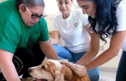 il premio Il peso delle cose va ai veterinari di Matera per il progetto Connessioni – .