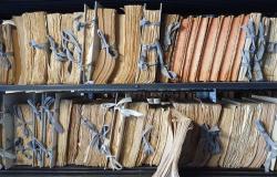 Archivi e libri, anniversari eccezionali per due scuole in Vaticano – .