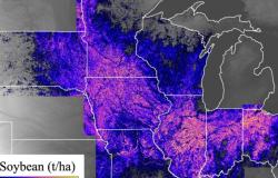 La NASA aiuta gli agricoltori: in che modo i ricercatori utilizzano le immagini satellitari per affrontare i grandi problemi dell’agricoltura – .