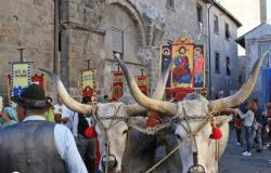 Viterbo – Santissimo Salvatore, processione in città: attenzione ai divieti
