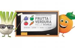 In merito al progetto “Frutta e verdura nelle scuole”, l’Azienda USL di Modena precisa quanto segue: – .