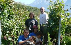 La viticoltura valdostana piange la scomparsa del maestro enologo Gualtiero Crea – La Prima Linea – .