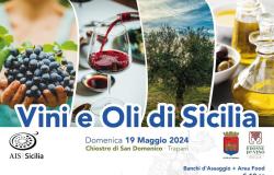 “Vini e Oli di Sicilia”, a Trapani l’AIS Sicilia promuove la cultura e la storia dei due simboli del Mediterraneo – LaTr3.it – .