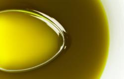 Vola il prezzo dell’olio extravergine di oliva spagnolo, stabile in Italia – .