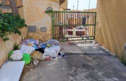 Erba alta, rifiuti e zanzare ad Erice. Il consigliere maltese chiede un intervento urgente – .