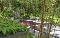 Progettare un giardino, 6 regole d’oro per uno spazio outdoor da sogno – .
