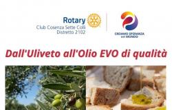 RENDE (CS) – Incontro pubblico rotariano “Dall’oliveto all’olio extravergine di qualità” – .