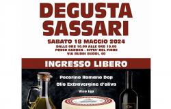 DAQ Olivarios, degustazione di olio extravergine di oliva e pecorino romano DOP a Sassari – .
